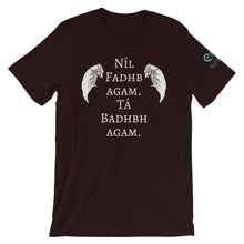 Load image into Gallery viewer, The Badb, or Badhbh - Asphalt, Red &amp; Oxblood - Unisex Short Sleeve Jersey T-Shirt - Eel &amp; Otter