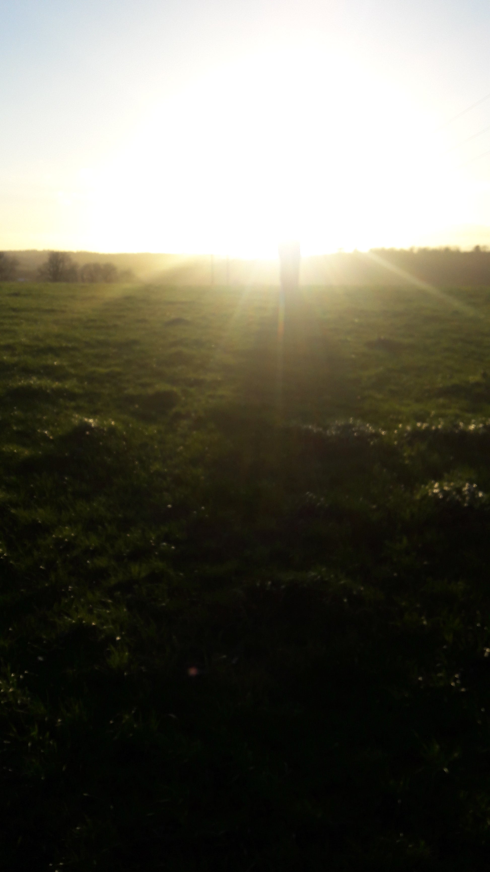 Meditation Audio - Features in the Irish Landscape - Guided Meditation Journeys Series 01 - Eel & Otter