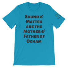 Load image into Gallery viewer, Sound and Matter - Aqua, Silver, Soft Cream, - Short-Sleeve Unisex T-Shirt - Eel &amp; Otter