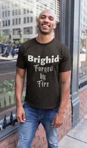 Brighid - Forged by Fire - Red, Asphalt & Brown - Unisex Short Sleeve Jersey T-Shirt - Eel & Otter